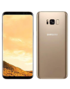 Samsung Galaxy S8 Plus 2017 (SM-G955F)